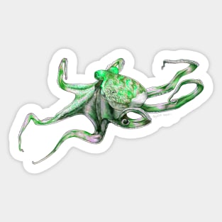 Green Octopus Sticker